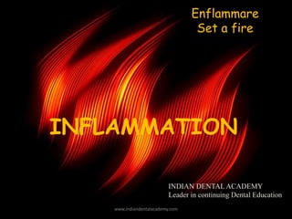 INFLAMMATION
Enflammare
Set a fire
INDIAN DENTAL ACADEMY
Leader in continuing Dental Education
www.indiandentalacademy.com
 