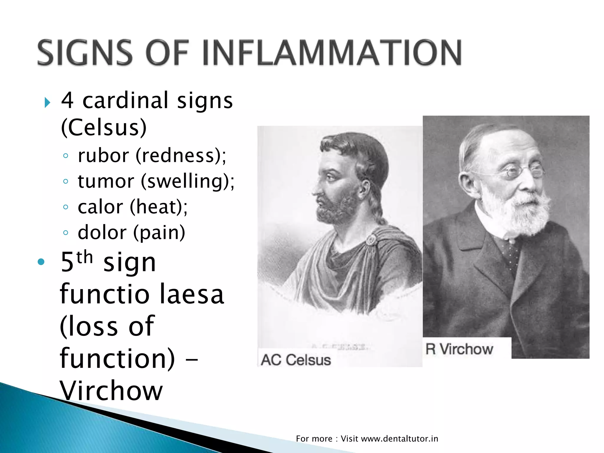Inflammation | PPTX