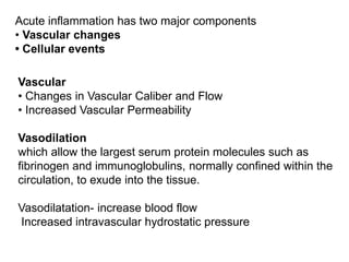 Acute inflammation has two major components
• Vascular changes
• Cellular events
Vascular
• Changes in Vascular Caliber and Flow
• Increased Vascular Permeability
Vasodilation
which allow the largest serum protein molecules such as
fibrinogen and immunoglobulins, normally confined within the
circulation, to exude into the tissue.
Vasodilatation- increase blood flow
Increased intravascular hydrostatic pressure
 