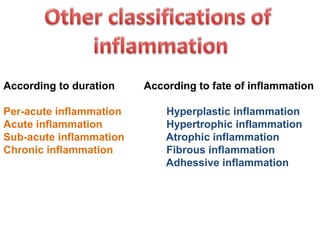 According to duration According to fate of inflammation
Per-acute inflammation Hyperplastic inflammation
Acute inflammation Hypertrophic inflammation
Sub-acute inflammation Atrophic inflammation
Chronic inflammation Fibrous inflammation
Adhessive inflammation
 