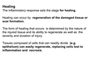 Healing
The inflammatory response sets the stage for healing.
Healing can occur by regeneration of the damaged tissue or
scar formation.
The form of healing that occurs is determined by the nature of
the injured tissue and its ability to regenerate as well as the
severity and duration of injury.
Tissues composed of cells that can readily divide (e.g.
epithelium) can easily regenerate, replacing cells lost to
inflammation and necrosis.
 
