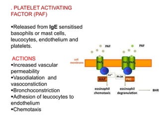 . PLATELET ACTIVATING
FACTOR (PAF)
Released from IgE sensitised
basophils or mast cells,
leucocytes, endothelium and
platelets.
ACTIONS
Increased vascular
permeability
Vasodialation and
vasoconstiction
Bronchoconstriction
Adhesion of leucocytes to
endothelium
Chemotaxis
 