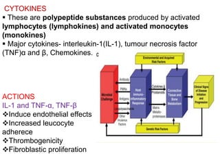 CYTOKINES
 These are polypeptide substances produced by activated
lymphocytes (lymphokines) and activated monocytes
(monokines)
 Major cytokines- interleukin-1(IL-1), tumour necrosis factor
(TNF)α and β, Chemokines.
ACTIONS
IL-1 and TNF-α, TNF-β
Induce endothelial effects
Increased leucocyte
adherece
Thrombogenicity
Fibroblastic proliferation
 