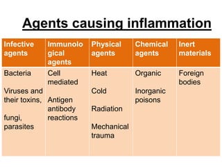 Agents causing inflammation
Infective
agents
Immunolo
gical
agents
Physical
agents
Chemical
agents
Inert
materials
Bacteria
Viruses and
their toxins,
fungi,
parasites
Cell
mediated
Antigen
antibody
reactions
Heat
Cold
Radiation
Mechanical
trauma
Organic
Inorganic
poisons
Foreign
bodies
 