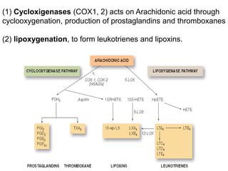 (1) Cycloxigenases (COX1, 2) acts on Arachidonic acid through
cyclooxygenation, production of prostaglandins and thromboxanes
(2) lipoxygenation, to form leukotrienes and lipoxins.
 
