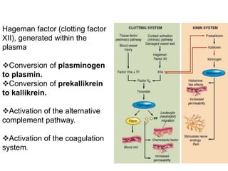 Hageman factor (clotting factor
XII), generated within the
plasma
Conversion of plasminogen
to plasmin.
Conversion of prekallikrein
to kallikrein.
Activation of the alternative
complement pathway.
Activation of the coagulation
system.
 