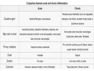Inflammation in skin