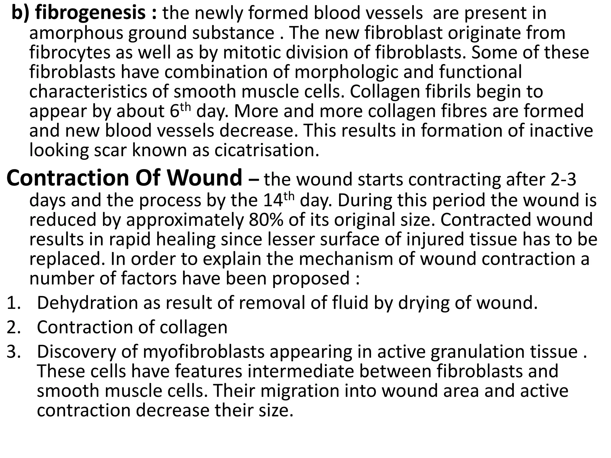 b) fibrogenesis : the newly formed blood vessels are present in
amorphous ground substance . The new fibroblast originate from
fibrocytes as well as by mitotic division of fibroblasts. Some of these
fibroblasts have combination of morphologic and functional
characteristics of smooth muscle cells. Collagen fibrils begin to
appear by about 6th day. More and more collagen fibres are formed
and new blood vessels decrease. This results in formation of inactive
looking scar known as cicatrisation.
Contraction Of Wound – the wound starts contracting after 2-3
days and the process by the 14th day. During this period the wound is
reduced by approximately 80% of its original size. Contracted wound
results in rapid healing since lesser surface of injured tissue has to be
replaced. In order to explain the mechanism of wound contraction a
number of factors have been proposed :
1. Dehydration as result of removal of fluid by drying of wound.
2. Contraction of collagen
3. Discovery of myofibroblasts appearing in active granulation tissue .
These cells have features intermediate between fibroblasts and
smooth muscle cells. Their migration into wound area and active
contraction decrease their size.
 