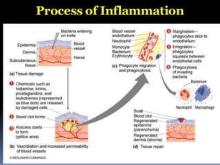 Inflammation | PPTX