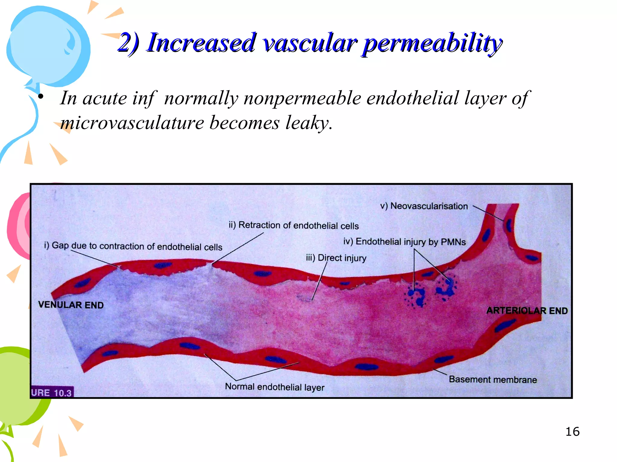 2) Increased vascular permeability2) Increased vascular permeability
• In acute inf normally nonpermeable endothelial layer of
microvasculature becomes leaky.
16
 