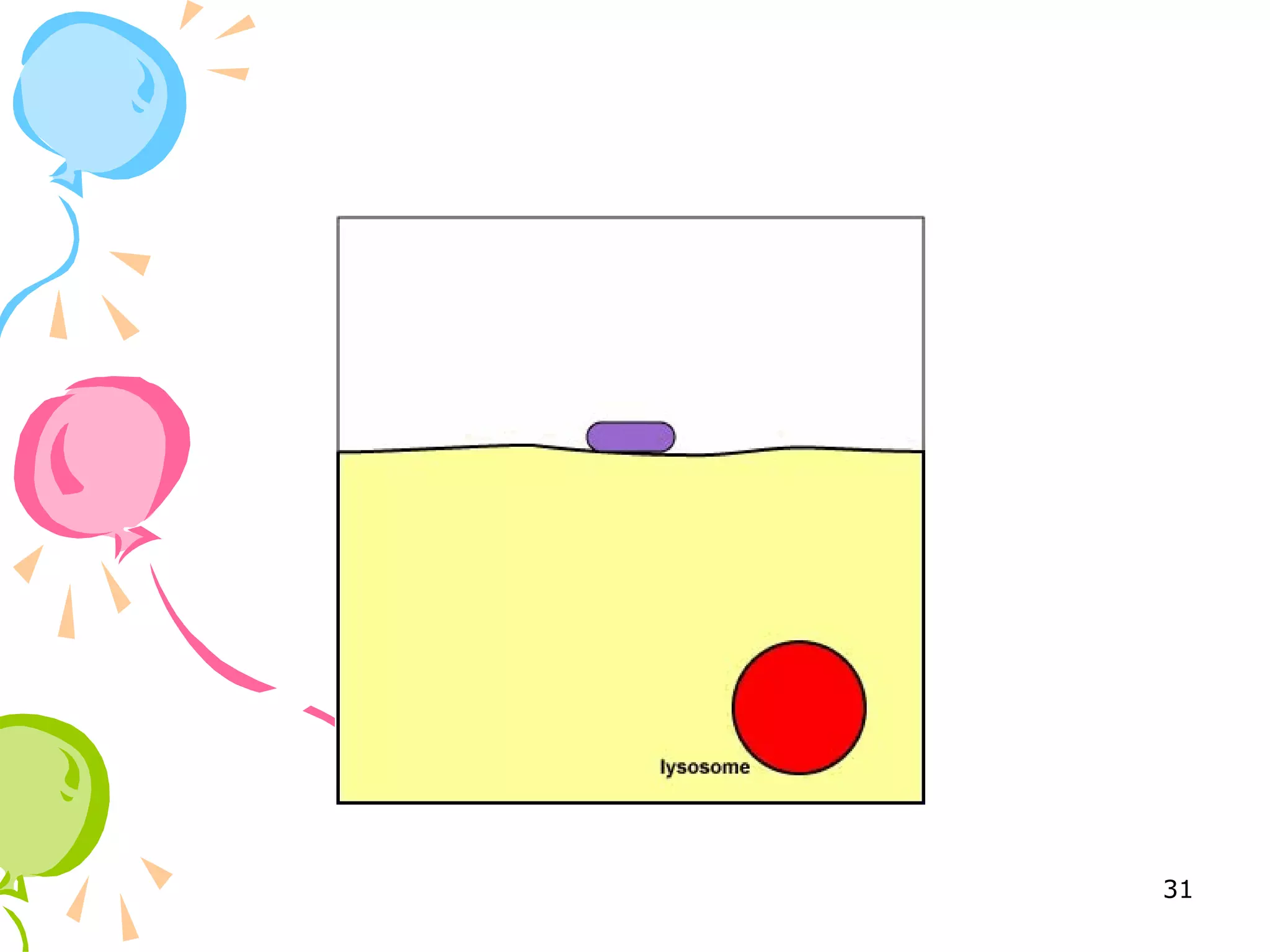 inflammation-ppt-free-download