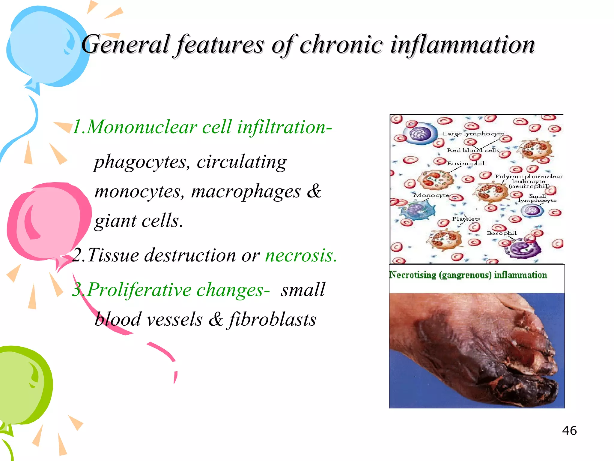 General features of chronic inflammationGeneral features of chronic inflammation
1.Mononuclear cell infiltration-
phagocytes, circulating
monocytes, macrophages &
giant cells.
2.Tissue destruction or necrosis.
3.Proliferative changes- small
blood vessels & fibroblasts
46
 