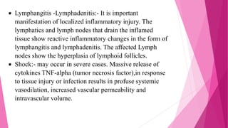 Inflammation | PPTX
