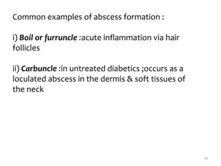 Inflammation | PPTX