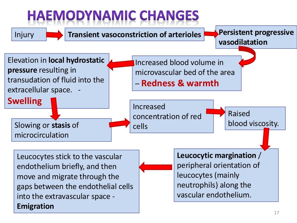 Inflammation