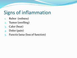 Inflammation | PPTX