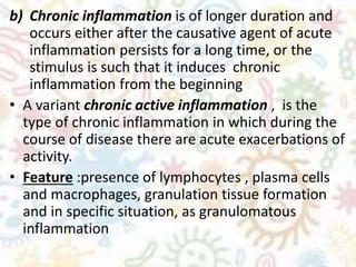 Inflammation- General Pathology seminar PG 1st year | PPTX