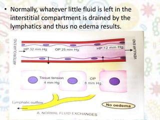 inflammation-general-pathology-seminar-pg-1st-year-pptx