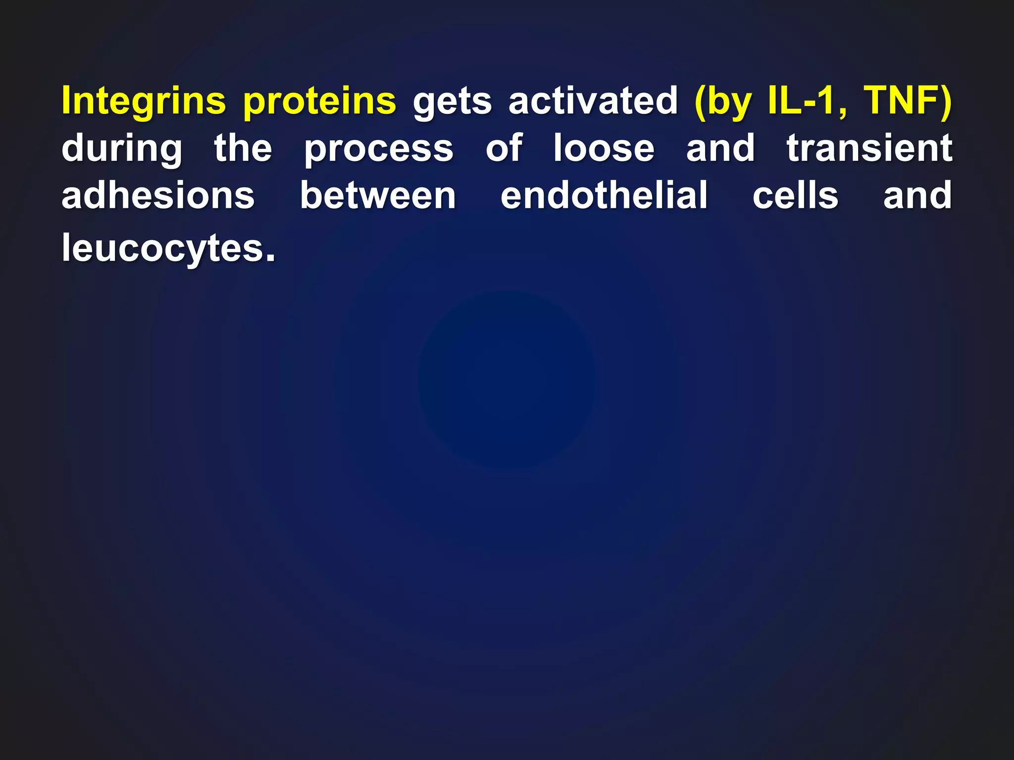 Integrins proteins gets activated (by IL-1, TNF)
during the process of loose and transient
adhesions between endothelial cells and
leucocytes.
 