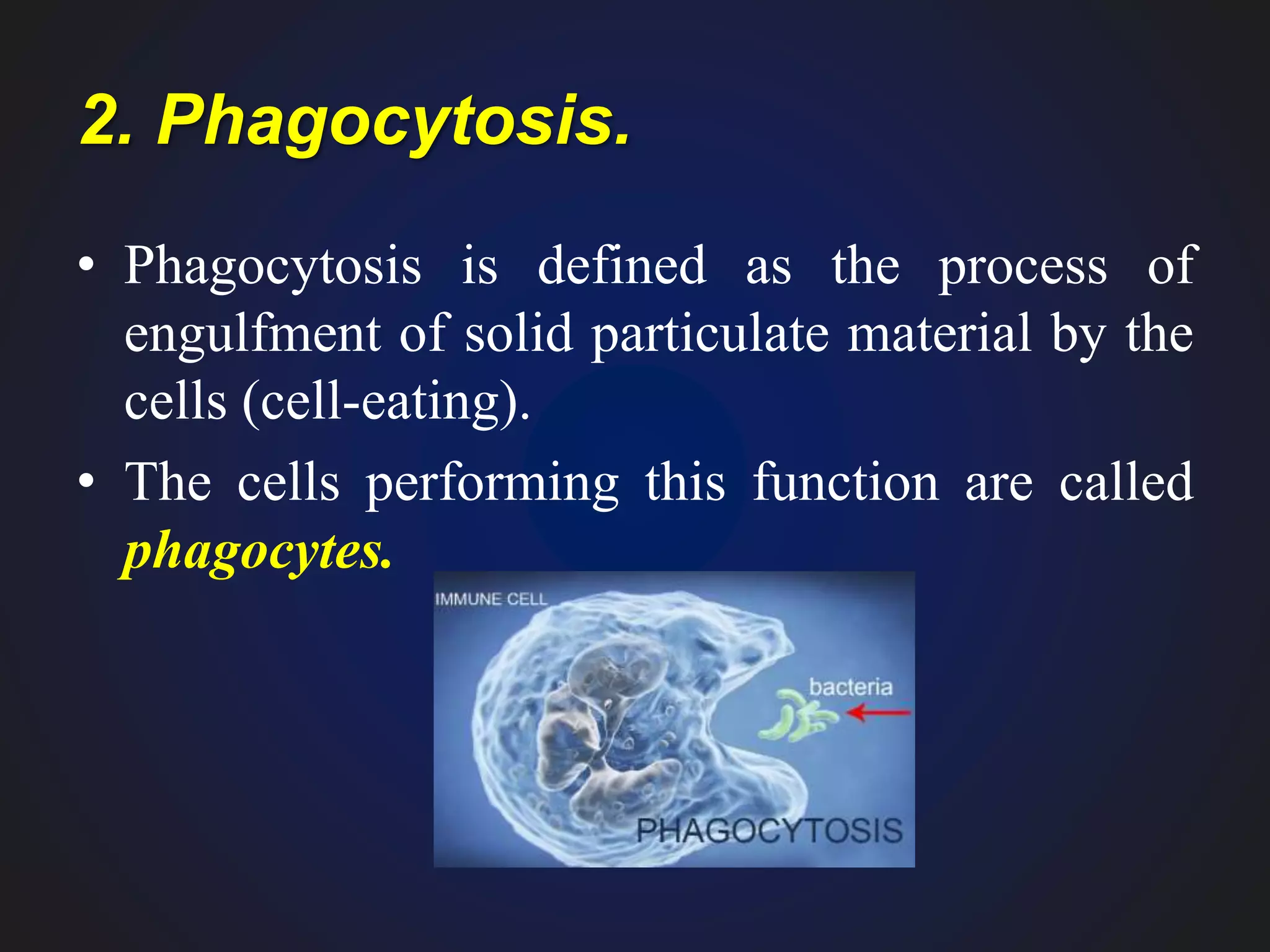 2. Phagocytosis.
• Phagocytosis is defined as the process of
engulfment of solid particulate material by the
cells (cell-eating).
• The cells performing this function are called
phagocytes.
 