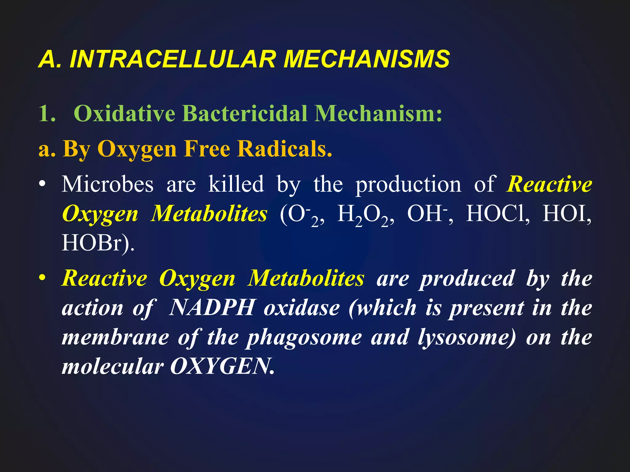 A. INTRACELLULAR MECHANISMS
1. Oxidative Bactericidal Mechanism:
a. By Oxygen Free Radicals.
• Microbes are killed by the production of Reactive
Oxygen Metabolites (O-
2, H2O2, OH-, HOCl, HOI,
HOBr).
• Reactive Oxygen Metabolites are produced by the
action of NADPH oxidase (which is present in the
membrane of the phagosome and lysosome) on the
molecular OXYGEN.
 