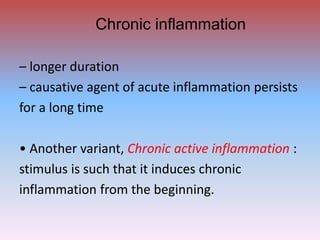 Inflammation- Basic Concept | PPTX
