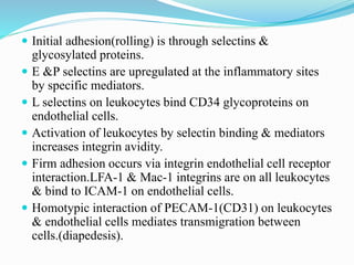 Inflammation | PPTX