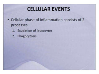 Inflammation