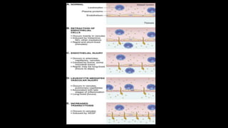 Inflammation Reflection Inflammation | PPTX