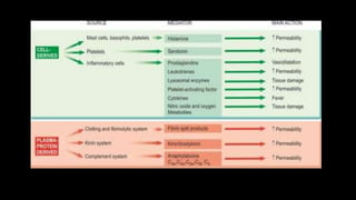 Inflammation | PPTX