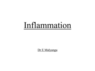 Inflammation
Dr E Malyangu
 