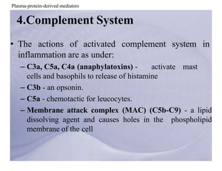 inflammation.pptx