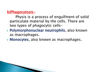 b)Phagocytosis-
Physis is a process of engulfment of solid
particulate material by the cells. There are
two types of phagocytic cells-
 Polymorphonuclear neutrophils, also known
as macrophages.
 Monocytes, also known as macrophages.
 