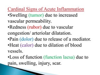 Cardinal Signs of Acute Inflammation
•Swelling (tumor) due to increased
vascular permeability.
•Redness (rubor) due to vascular
congestion/ arteriolar dilatation.
•Pain (dolor) due to release of a mediator.
•Heat (calor) due to dilation of blood
vessels.
•Loss of function (function laesa) due to
pain, swelling, injury, scar.
 