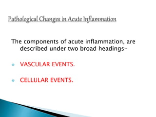 The components of acute inflammation, are
described under two broad headings-
 VASCULAR EVENTS.
 CELLULAR EVENTS.
 