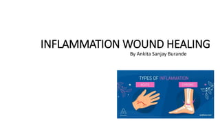 INFLAMMATION WOUND HEALING
By Ankita Sanjay Burande
 