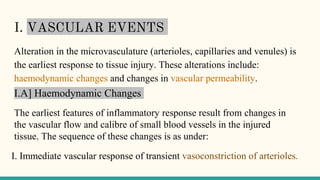 I. VASCULAR EVENTS
Alteration in the microvasculature (arterioles, capillaries and venules) is
the earliest response to tissue injury. These alterations include:
haemodynamic changes and changes in vascular permeability.
I.A] Haemodynamic Changes
The earliest features of inflammatory response result from changes in
the vascular flow and calibre of small blood vessels in the injured
tissue. The sequence of these changes is as under:
 
