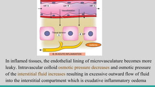 In inflamed tissues, the endothelial lining of microvasculature becomes more
leaky. Intravascular colloid osmotic pressure decreases and osmotic pressure
of the interstitial fluid increases resulting in excessive outward flow of fluid
into the interstitial compartment which is exudative inflammatory oedema
 