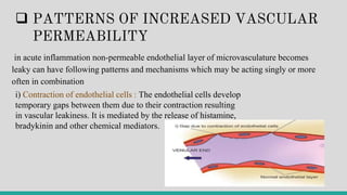  PATTERNS OF INCREASED VASCULAR
PERMEABILITY
in acute inflammation non-permeable endothelial layer of microvasculature becomes
leaky can have following patterns and mechanisms which may be acting singly or more
often in combination
i) Contraction of endothelial cells : The endothelial cells develop
temporary gaps between them due to their contraction resulting
in vascular leakiness. It is mediated by the release of histamine,
bradykinin and other chemical mediators.
 