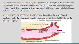 iv) Leucocytemediated endothelial injury : Adherence of leucocytes to the endothelium at
the site of inflammation may result in activation of leucocytes. The activated leucocytes
release proteolytic enzymes and toxic oxygen species which may cause endothelial injury
and increased vascular leakiness.
V) LEAKINESS IN NEOVASCULARIZATION: In addition, the newly formed
capillaries under the influence of vascular endothelial growth factor (VEGF) during the
process of repair.
 