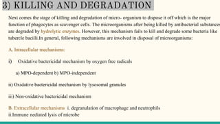 3) KILLING AND DEGRADATION
Next comes the stage of killing and degradation of micro- organism to dispose it off which is the major
function of phagocytes as scavenger cells. The microorganisms after being killed by antibacterial substances
are degraded by hydrolytic enzymes. However, this mechanism fails to kill and degrade some bacteria like
tubercle bacilli.In general, following mechanisms are involved in disposal of microorganisms:
A. Intracellular mechanisms:
i) Oxidative bactericidal mechanism by oxygen free radicals
a) MPO-dependent b) MPO-independent
ii) Oxidative bactericidal mechanism by lysosomal granules
iii) Non-oxidative bactericidal mechanism
B. Extracellular mechanisms i. degranulation of macrophage and neutrophils
ii.Immune nediated lysis of microbe
 