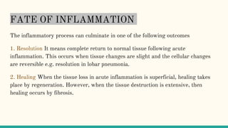 FATE OF INFLAMMATION
The inflammatory process can culminate in one of the following outcomes
1. Resolution It means complete return to normal tissue following acute
inflammation. This occurs when tissue changes are slight and the cellular changes
are reversible e.g. resolution in lobar pneumonia.
2. Healing When the tissue loss in acute inflammation is superficial, healing takes
place by regeneration. However, when the tissue destruction is extensive, then
healing occurs by fibrosis.
 