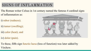 SIGNS OF INFLAMMATION
The Roman writer Celsus in 1st century named the famous 4 cardinal signs
of inflammation as:
i) rubor (redness);
ii) tumor (swelling);
iii) calor (heat); and
iv) dolor (pain).
To these, fifth sign functio laesa (loss of function) was later added by
Virchow.
 