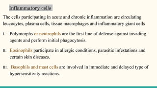 Inflammatory cells
The cells participating in acute and chronic inflammation are circulating
leucocytes, plasma cells, tissue macrophages and inflammatory giant cells
I. Polymorphs or neutrophils are the first line of defense against invading
agents and perform initial phagocytosis.
II. Eosinophils participate in allergic conditions, parasitic infestations and
certain skin diseases.
III. Basophils and mast cells are involved in immediate and delayed type of
hypersensitivity reactions.
 