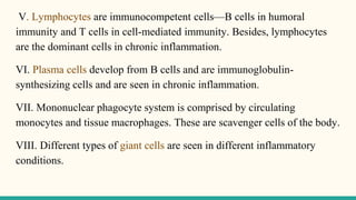 V. Lymphocytes are immunocompetent cells—B cells in humoral
immunity and T cells in cell-mediated immunity. Besides, lymphocytes
are the dominant cells in chronic inflammation.
VI. Plasma cells develop from B cells and are immunoglobulin-
synthesizing cells and are seen in chronic inflammation.
VII. Mononuclear phagocyte system is comprised by circulating
monocytes and tissue macrophages. These are scavenger cells of the body.
VIII. Different types of giant cells are seen in different inflammatory
conditions.
 