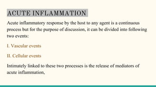 ACUTE INFLAMMATION
Acute inflammatory response by the host to any agent is a continuous
process but for the purpose of discussion, it can be divided into following
two events:
I. Vascular events
II. Cellular events
Intimately linked to these two processes is the release of mediators of
acute inflammation,
 