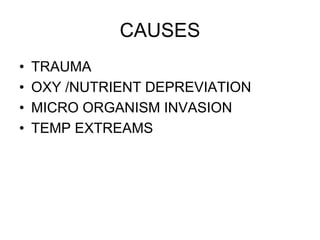 CAUSES
• TRAUMA
• OXY /NUTRIENT DEPREVIATION
• MICRO ORGANISM INVASION
• TEMP EXTREAMS
 