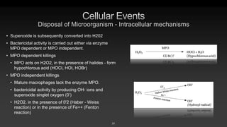H2o2 Disposal Inflammation with chemical mediators and Recent Advances.pptx