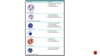 INFLAMMATION: acute and chronic inflammation | PPTX