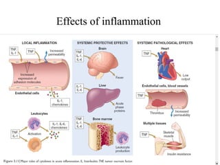 Inflammation and types of inflammation.pptx
